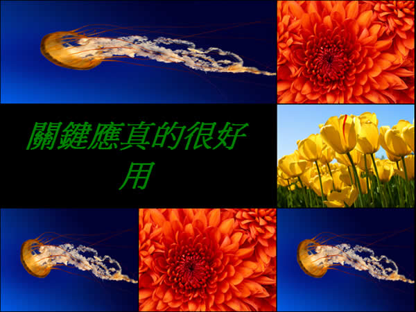 Mpq Builder 輕鬆建立專屬自己的螢幕保護程式
