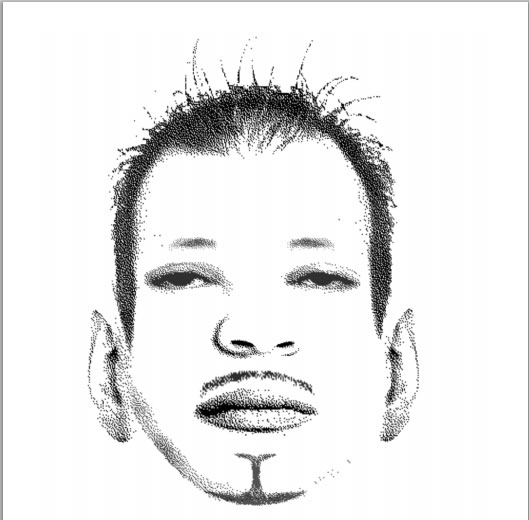 Ultimate Flash Face 人臉拼湊(素描風格)